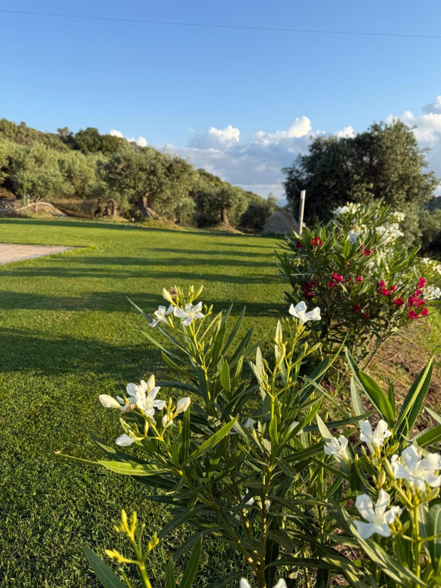 Agrolea Hotell Terme Vigliatore Exteriör bild