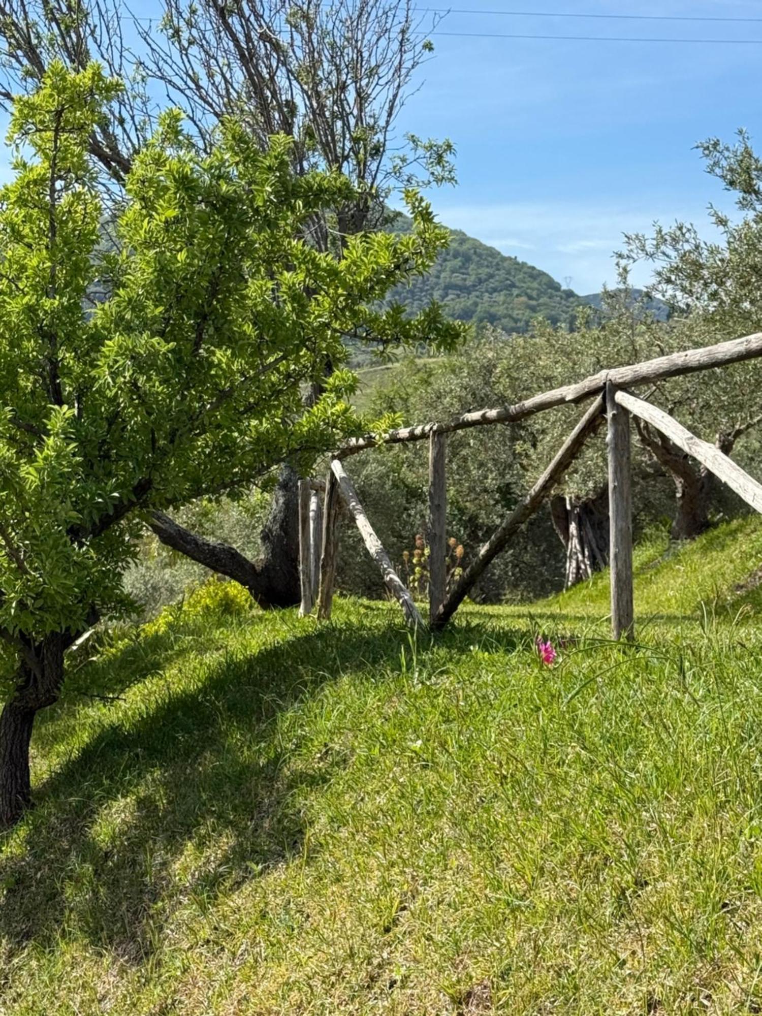Agrolea Hotell Terme Vigliatore Exteriör bild